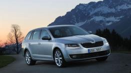 Skoda Octavia III Kombi 4x4 TSI (2013) - widok z przodu