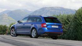 Skoda Octavia III RS Kombi 2.0 TSI (2013) - widok z tyłu