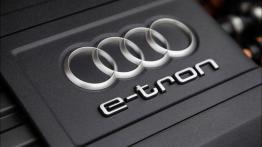 Audi A3 III Sportback e-tron (2013) - silnik