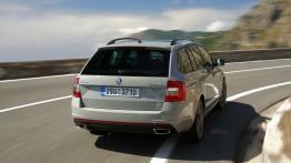 Skoda Octavia III RS Kombi 2.0 TDI (2013) - widok z tyłu