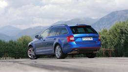 Skoda Octavia III RS Kombi 2.0 TSI (2013) - widok z tyłu
