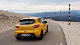 Renault Clio IV RS 200 (2013) - widok z tyłu
