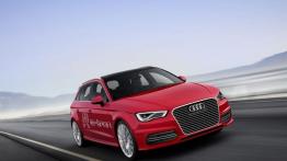 Audi A3 III e-tron (2013) - widok z przodu