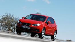 Seat Ibiza 2008 - widok z przodu