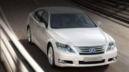 Przegląd rynku hybryd i samochodów elektrycznych