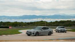 Kia Stinger – galeria redakcyjna
