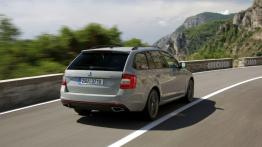 Skoda Octavia III RS Kombi 2.0 TDI (2013) - widok z tyłu