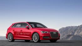 Audi A3 III Sportback e-tron (2013) - prawy bok