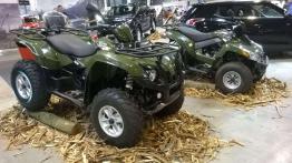 Jubileusz pod znakiem ... rozmaitości