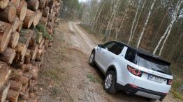 Land Rover Discovery Sport - galeria redakcyjna - widok z tyłu