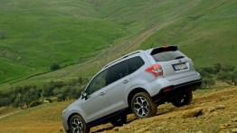 Subaru Forester IV - wersja europejska - widok z tyłu