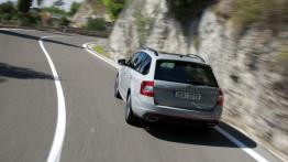 Skoda Octavia III RS Kombi 2.0 TDI (2013) - widok z tyłu