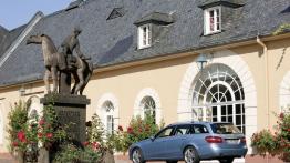 Mercedes E 350 CDI 4MATIC W212 kombi - widok z tyłu