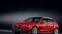 Audi A3 III Sportback e-tron (2013) - lewy bok