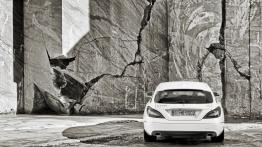 Mercedes CLS Shooting Brake - widok z tyłu