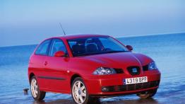 Seat Ibiza V - widok z przodu