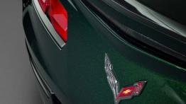 Chevrolet Corvette C7 Stingray Cabrio (2014) - spoiler