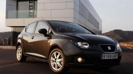 Seat Ibiza 2008 - prawy bok