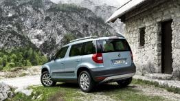 Skoda Yeti 2011 - widok z tyłu