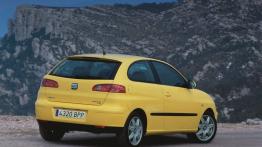 Seat Ibiza V - widok z tyłu