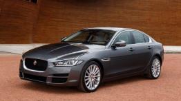 Jaguar XE 2.0d Ammonite Grey (2015) - lewy bok