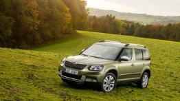 Skoda Yeti Facelifting (2014) - widok z przodu