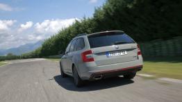 Skoda Octavia III RS Kombi 2.0 TDI (2013) - widok z tyłu