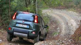 Fiat Panda III 4x4 - widok z tyłu