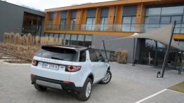 Land Rover Discovery Sport - galeria redakcyjna - widok z tyłu