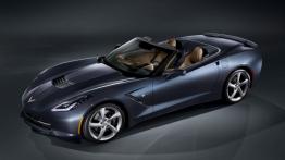 Chevrolet Corvette C7 Stingray Cabrio (2014) - widok z góry
