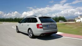 Skoda Octavia III RS Kombi 2.0 TDI (2013) - widok z tyłu