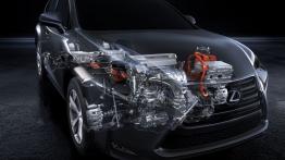 Lexus NX 300h (2014) - schemat konstrukcyjny auta