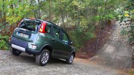 Fiat Panda III 4x4 - widok z tyłu