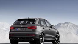 Audi RS Q3 (2014) - widok z tyłu