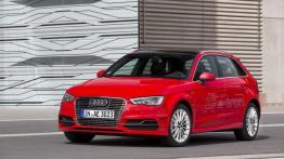 Audi A3 III Sportback e-tron (2013) - widok z przodu