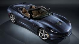 Chevrolet Corvette C7 Stingray Cabrio (2014) - widok z góry