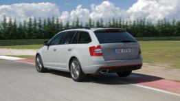 Skoda Octavia III RS Kombi 2.0 TDI (2013) - widok z tyłu