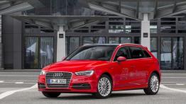 Audi A3 III Sportback e-tron (2013) - lewy bok