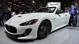 New York International Auto Show 2015 - inne zdjęcie