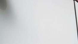 Lexus NX 200t (2014) - emblemat