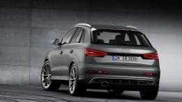 Audi RS Q3 (2014) - widok z tyłu