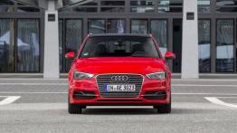 Audi A3 III Sportback e-tron (2013) - widok z przodu