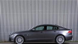 Jaguar XE 2.0d Ammonite Grey (2015) - lewy bok