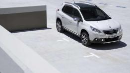 Peugeot 2008 - przewodnik po rynku małych crossoverów, cz. 5