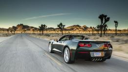 Chevrolet Corvette C7 Stingray Cabrio (2014) - widok z tyłu