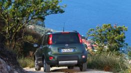 Fiat Panda III 4x4 - widok z tyłu