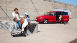 Seat Alhambra 2011 - drzwi tylne lewe