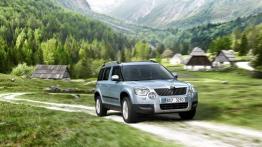 Skoda Yeti 2011 - widok z przodu