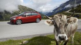 BMW 218d Active Tourer (2014) - lewy bok