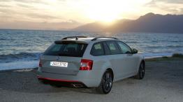 Skoda Octavia III RS Kombi 2.0 TDI (2013) - widok z tyłu